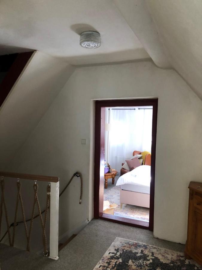 Adelle Cottage In Krkonose National Park Rudník Dış mekan fotoğraf